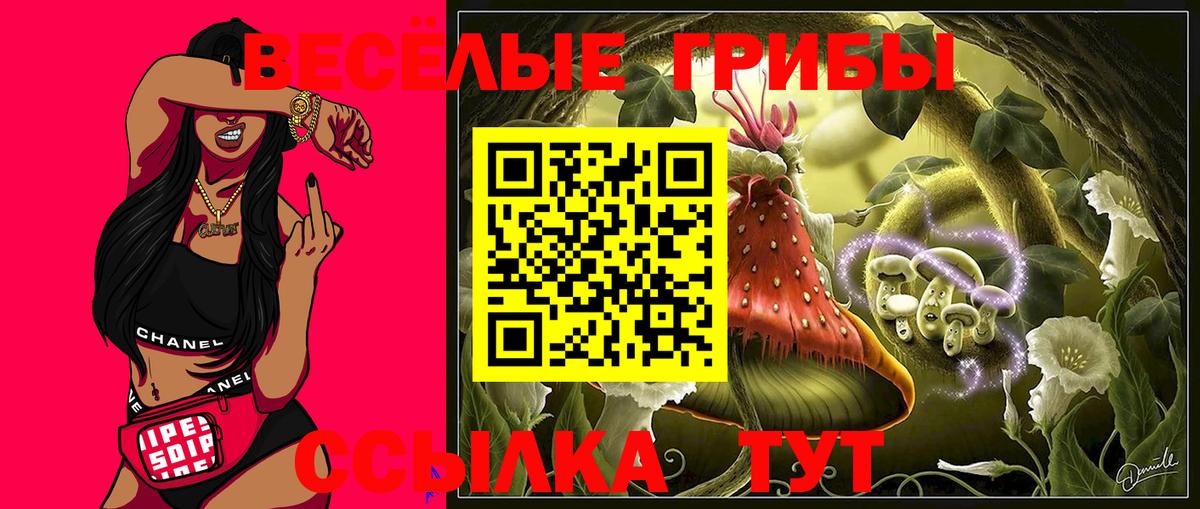 Галлюциногенные грибы MAGIC MUSHROOMS  как найти закладки  Череповец  Вход с VPN 